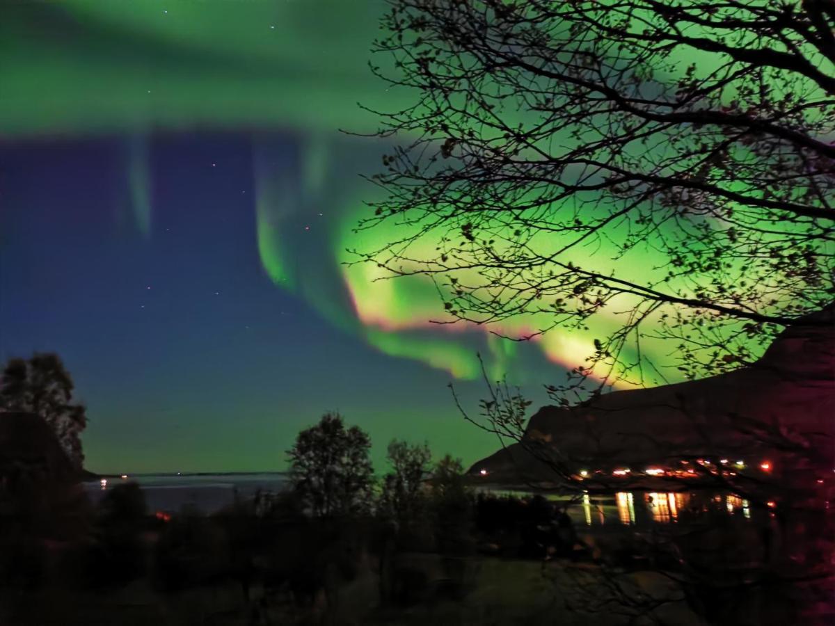 Apartamento Rystad Midnight Sun And Nature Exterior foto